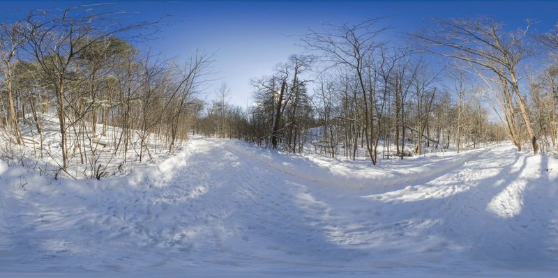 Snowy Path in the Woods of Rural Ontario HDRi Maps and Backplates