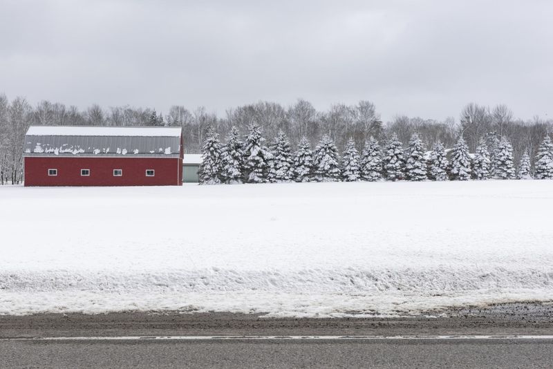 Snowy Road in Uxbridge, Ontario HDRi Maps and Backplates