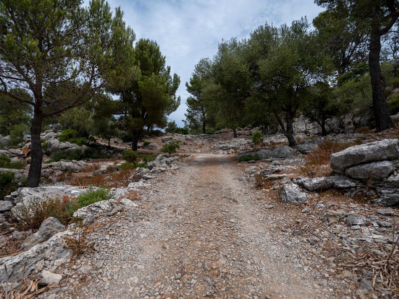 Spain Landscape: Mountain Road in Mallorca HDRi Maps and Backplates