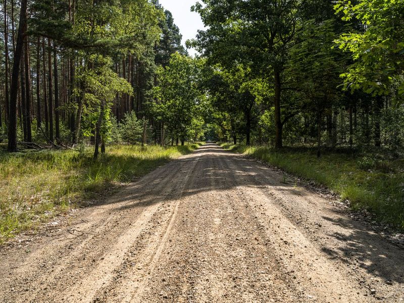 Straight Down the Road in Berlin, Brandenburg HDRi Maps and Backplates