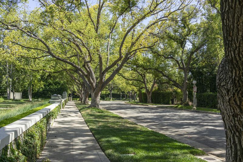 Suburban Neighborhood in Los Angeles: Lush Grass and Trees HDRi Maps ...
