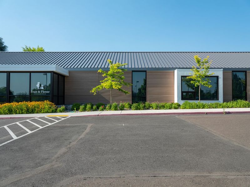 Suburban Road in Residential Area with Clear Sky HDRi Maps and Backplates