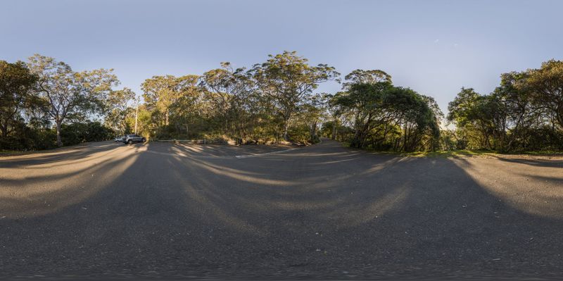 Sunny Dawn: Road Bathed in Sunlight with Trees HDRi Maps and Backplates