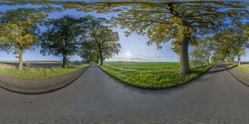 A Sunny Day in Berlin, Germany: Road, Green Trees HDRi Maps and Backplates