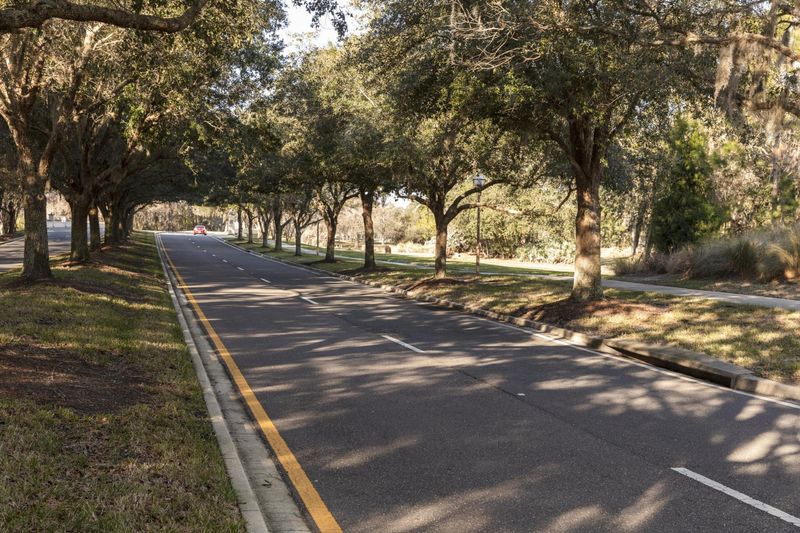 Sunny Day on Florida Road with Lush Green Trees HDRi Maps and Backplates