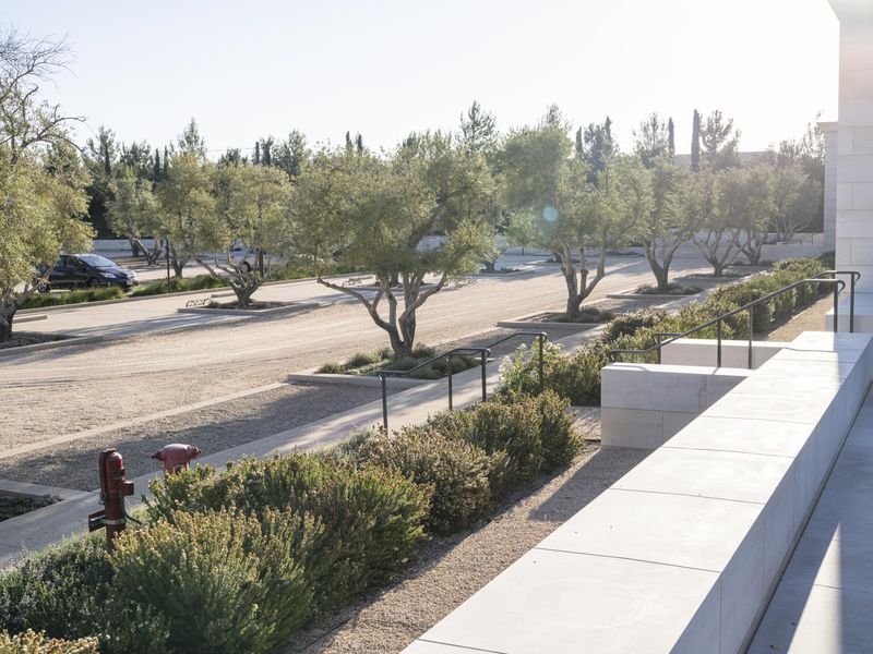 Sunny Day in Los Angeles Parking Lot with Trees HDRi Maps and Backplates