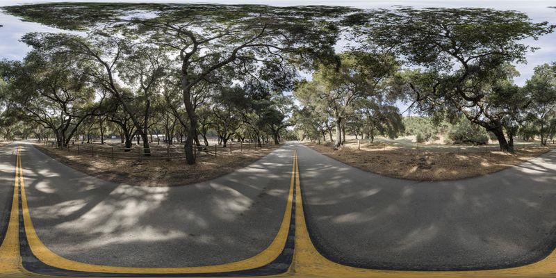 Sunny Day Road: A Path Through Nature and Trees HDRi Maps and Backplates