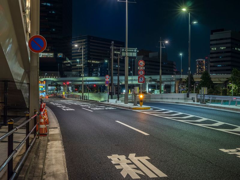 Tokyo Night: Urban Design with Bridge and Streetlight