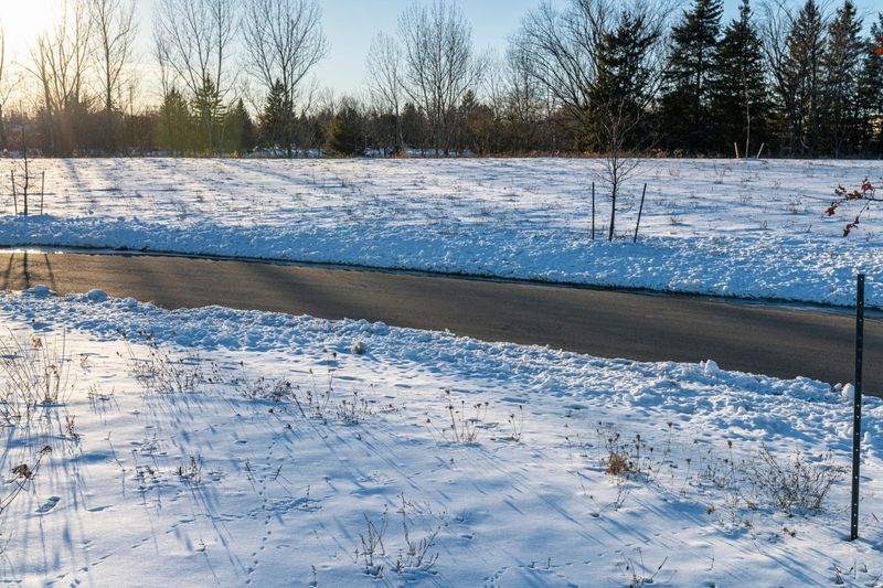 Toronto, Canada Autumn Landscape Road HDRi Maps and Backplates