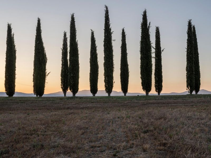 Tuscany Italy Dawn Landscape Mountain HDRi Maps and Backplates