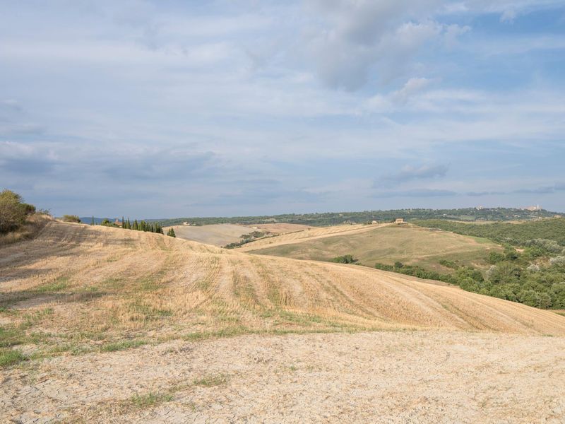 Rural Landscape in Tuscany: Clear Sky and Open Spaces HDRi Maps and ...