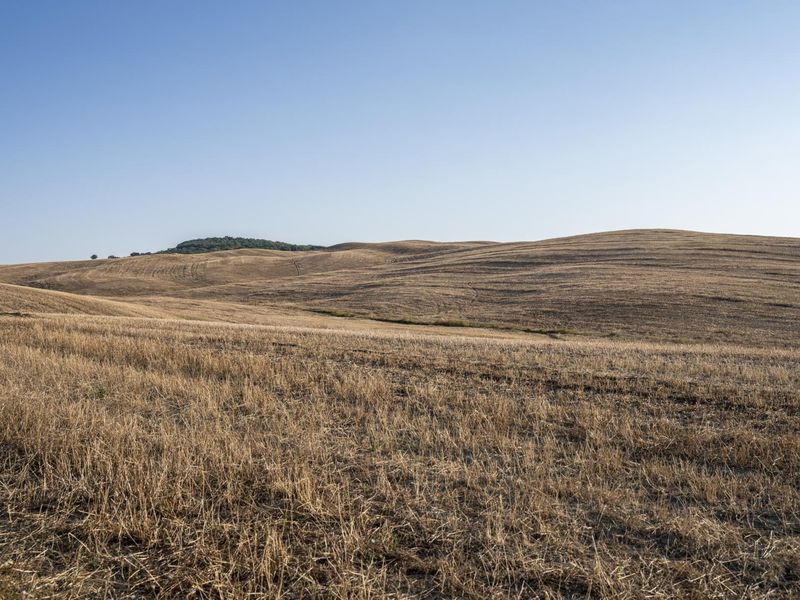 Tuscany Rural Landscape: A Day with Clear Sky - HDRi Maps and Backplates