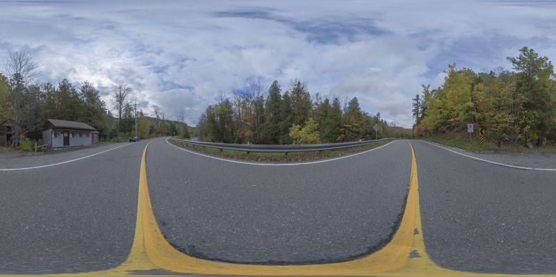 Two Roads with Yellow Markers Through a Lush Forest HDRi Maps and ...