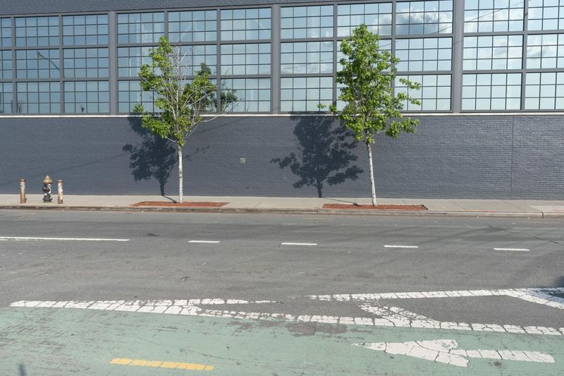 Urban Bike Path in New York City HDRi Maps and Backplates