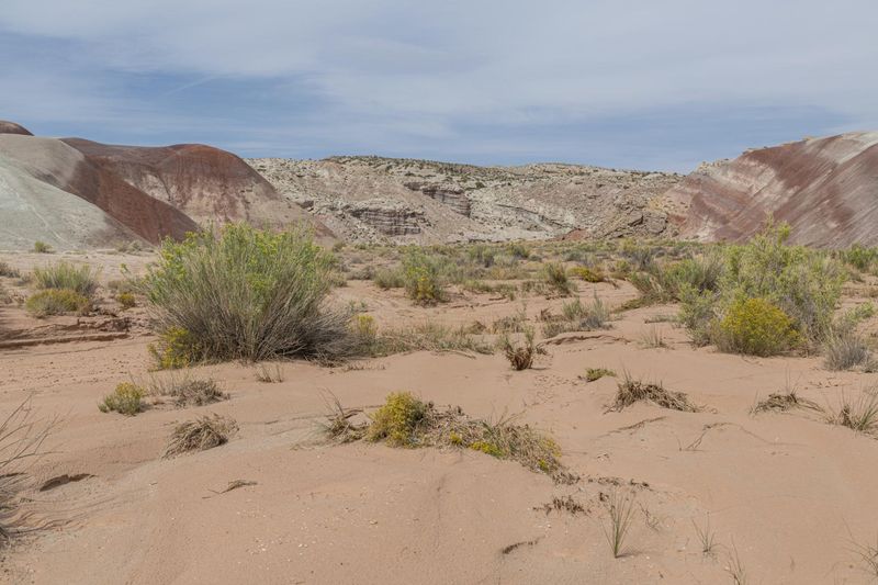 USA's Majestic Mountain Landforms HDRi Maps and Backplates