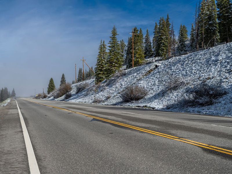 USA Road Trip: Colorado's Majestic Mountains and Forests HDRi Maps and ...