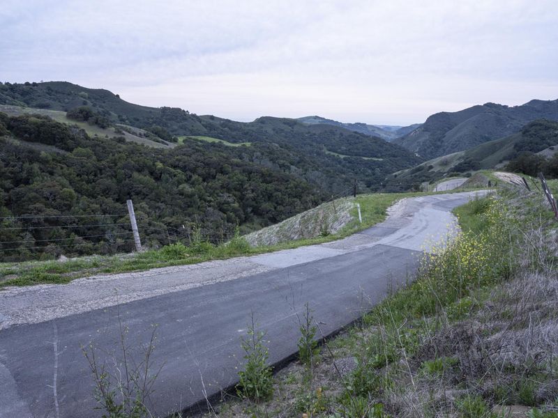 USA's Rural Mountain Road: A Serene Asphalt Path HDRi Maps and Backplates