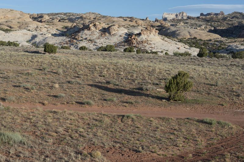 Utah Red Rock Landscape at Dawn HDRi Maps and Backplates