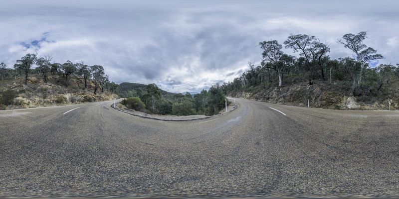 Winding Road Surrounded by Trees in a Gloomy Landscape HDRi Maps and ...