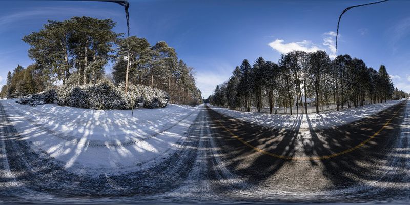 Winter Forest in Canada: Snow Covered Roads and Blue Skies HDRi Maps ...