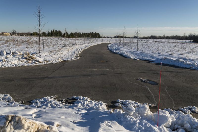 Winter Landscape in Canada: Trees and Clear Skies - HDRi Maps and ...